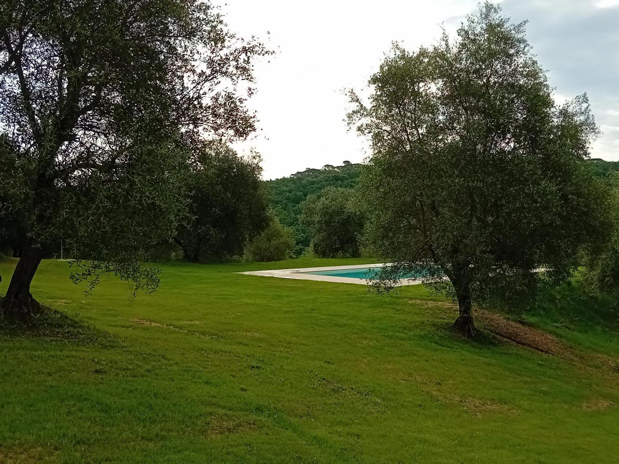 Podere Lucignano Secondo Agriturismo Gaiole in Chianti Exteriér fotografie